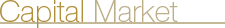 capital market