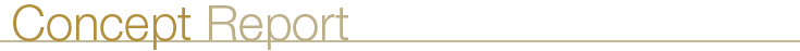 Capital Market > Concept Report